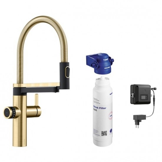 Blanco EVOL-S Pro Filter сатин золото