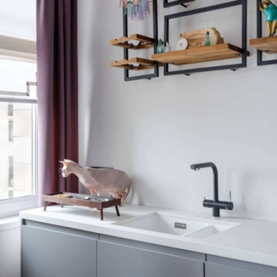 Смеситель для питьевой воды Blanco Fontas II антрацит 525139 Hanex