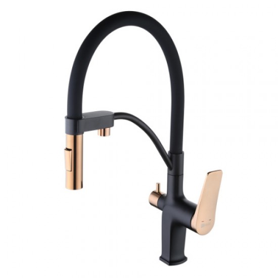 Смеситель для питьевой воды Lemark Bronx черный/золото LM3761BLR Hanex