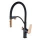 Смеситель для питьевой воды Lemark Bronx черный/золото LM3761BLR Hanex