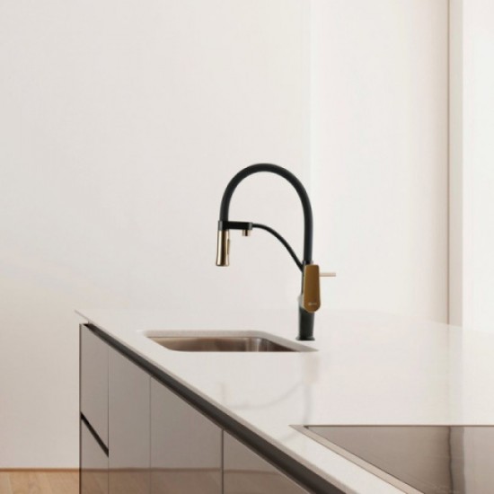 Смеситель для питьевой воды Lemark Bronx черный/золото LM3761BLR Hanex