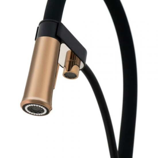 Смеситель для питьевой воды Lemark Bronx черный/золото LM3761BLR Hanex