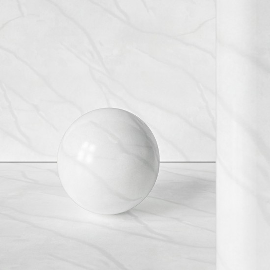 VM-002 VENATO SNOW Hanex