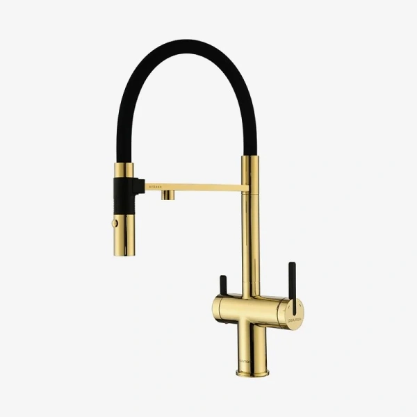 Смеситель для питьевой воды Paulmark Gravity золото Gr213888-G Hanex