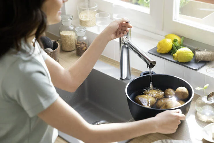 Смеситель для кухни Hansgrohe Zesis M33 74801 с вытяжным душем Hanex