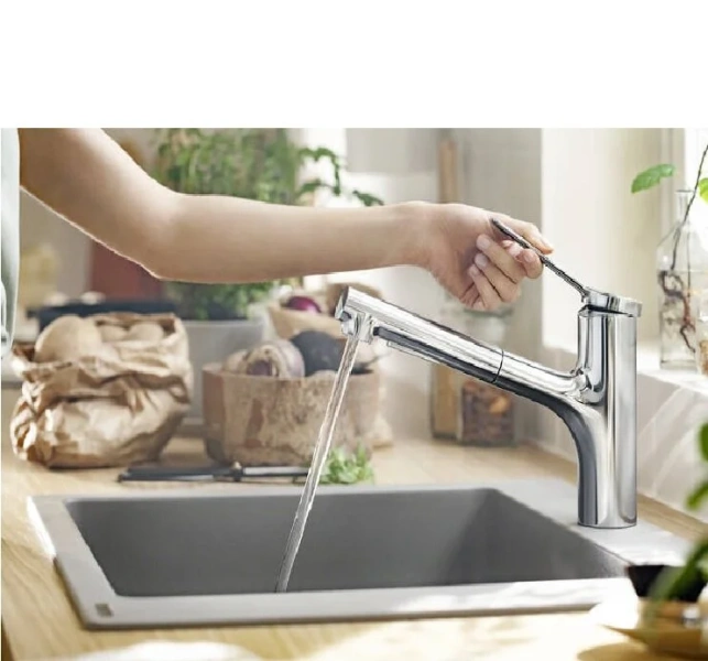 Смеситель для кухни Hansgrohe Zesis M33 74800 с выдвижным изливом Hanex