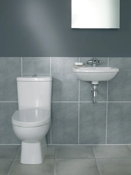 Раковина Jacob Delafon Panache E1439 Hanex